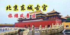 bbw大鸡吧中国北京-东城古宫旅游风景区